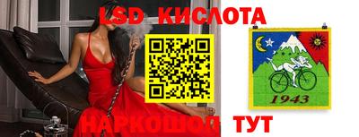 сатива Краснодар